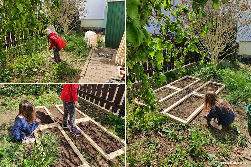 Unkraut entfernen für die Blumensamen, meinestube-diy