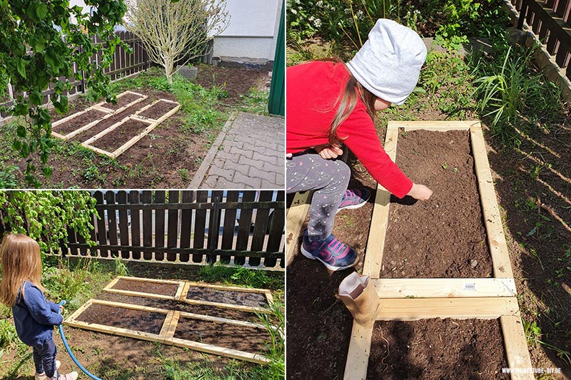 Blumensamen für den Schmetterlingsgarten, meinestube-diy